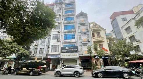 Nhà mặt phố Dịch Vọng, Cầu Giấy 52m² giá 32.5 tỷ - Kinh doanh sầm uất!