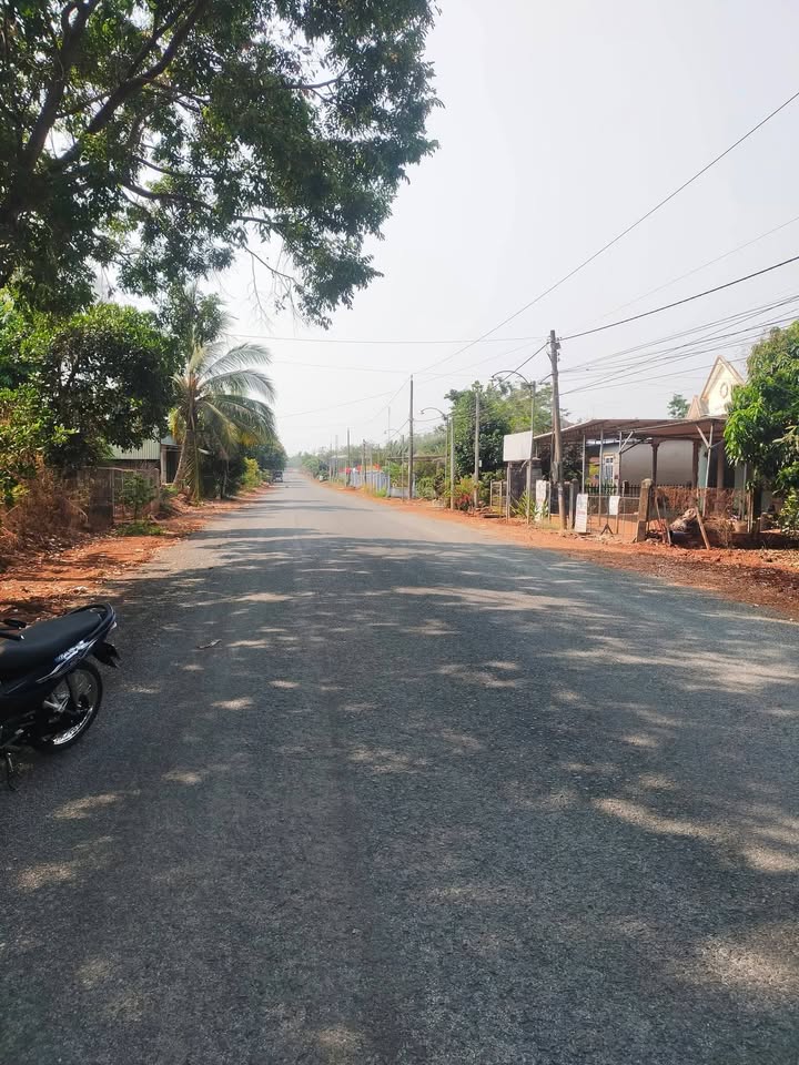 Đất nền Phước Bình, Bình Phước 444m² giá 960 triệu - Vị trí cực đẹp, đầu tư sinh lời!