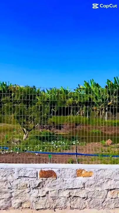 Đất vườn Long Tân 5000m² giá 6,9 tỷ - Suối tự nhiên thơ mộng, đầu tư sinh lời!