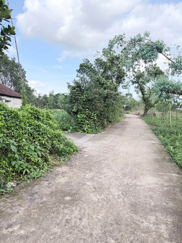 Đất nền thôn Thọ Lộc 1, Nhơn Thọ, 300m² - Giá thỏa thuận, sổ đỏ chính chủ!