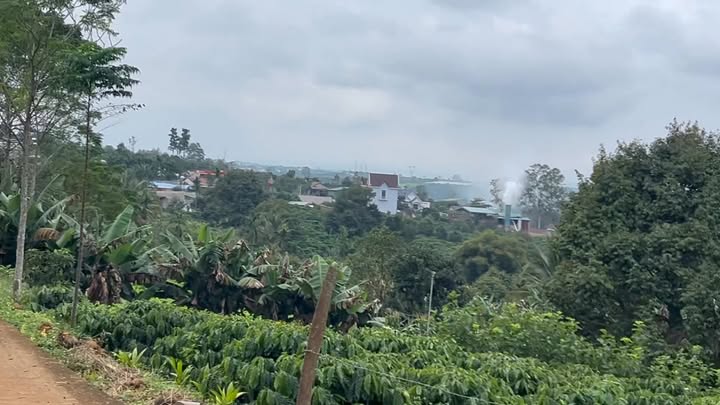 Farm Đan Phượng 8000m² giá 1.49 tỷ - Cơ hội đầu tư tuyệt vời!