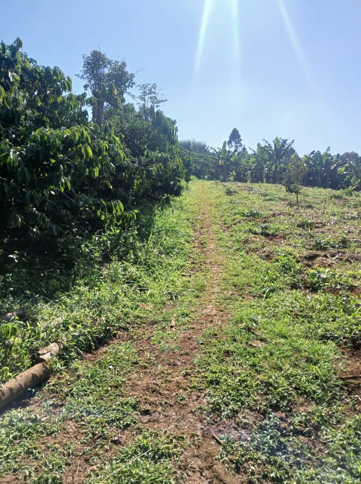 Đất nền 3 xào Thôn 2 Tân Lạc giá 1.5 tỷ - Cơ hội đầu tư hấp dẫn!