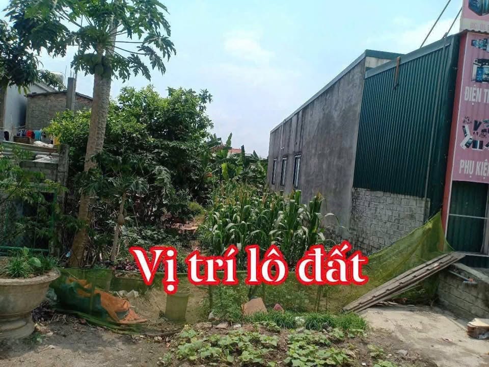 Đất nền Thanh Hải, Thanh Liêm, 85m² giá 2.3 tỷ - Cơ hội đầu tư hấp dẫn!