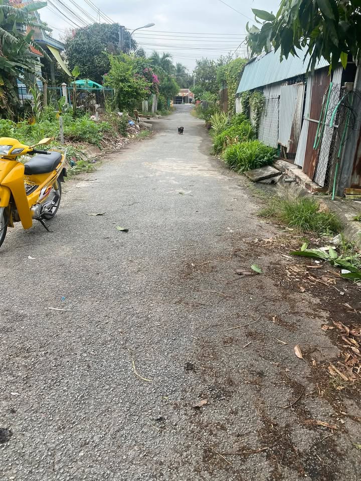 Bán đất thổ cư 120m² tại Song Phú, Tam Bình - Giá chỉ 600 triệu/nền!