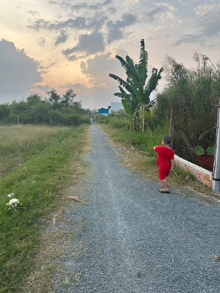 Đất nền liền kề Hẻm D5, Trà Vinh 129m² giá 1.1 tỷ - Đầu tư sinh lời ngay!