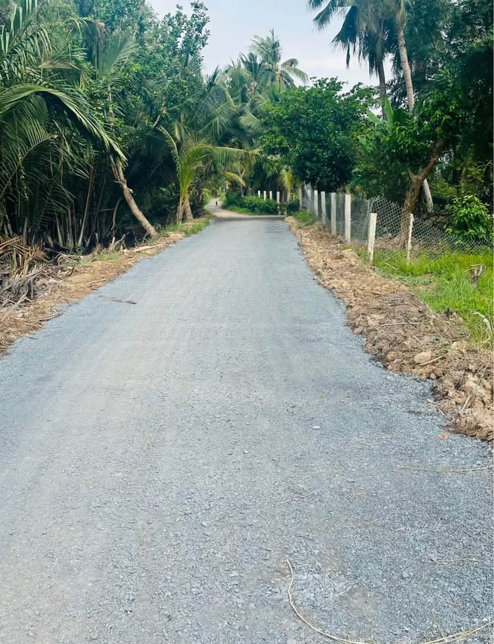 Đất thổ cư 105m² Hòa Thuận giá chỉ 199 triệu - Cơ hội đầu tư tuyệt vời!