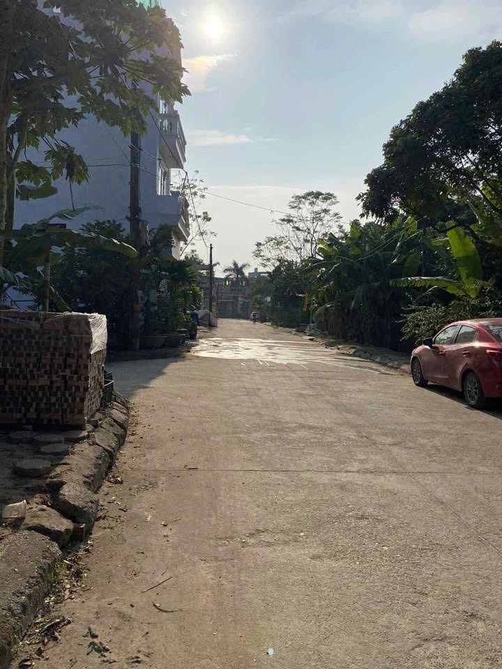 Đất đấu giá Biên Giang 51m² giá chỉ 4 tỷ - Vị trí đẹp, đầu tư sinh lời!