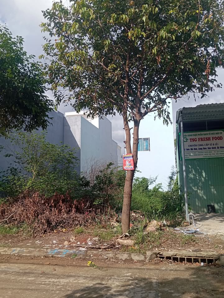 Đất mặt tiền đường Lê Văn Thủ, An Nhơn 72m² giá 2.05 tỷ - Đường ô tô đậu thoải mái!