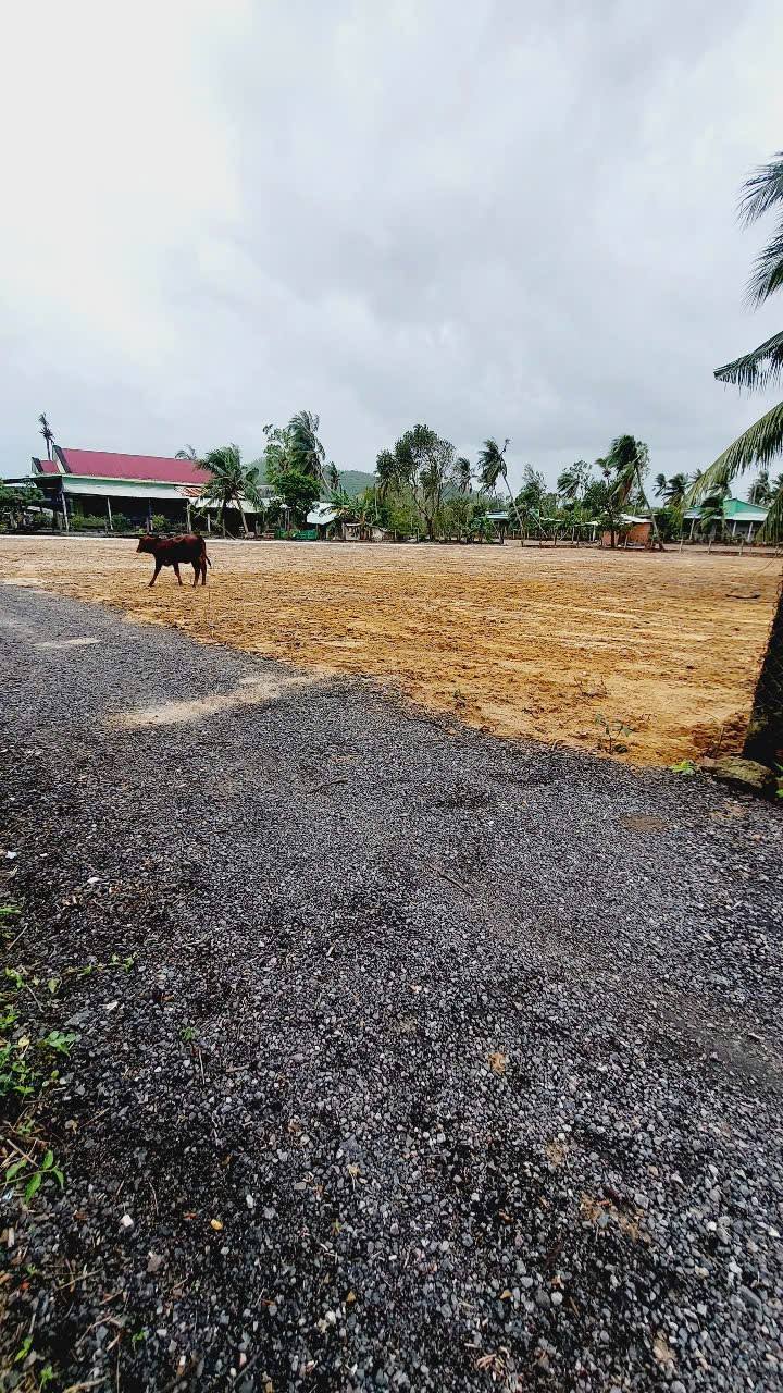 Đất nền thôn Mỹ Hóa, xã Cát Hanh, huyện Phù Cát 175m² giá từ 200 triệu - Đầu tư sinh lời hấp dẫn!