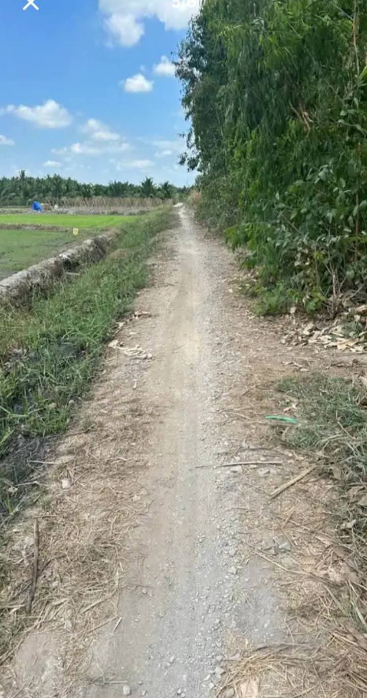 Đất nền xã Cái Ngang, Tam Bình, Vĩnh Long 1500m² giá 500 triệu - Cơ hội đầu tư tuyệt vời!