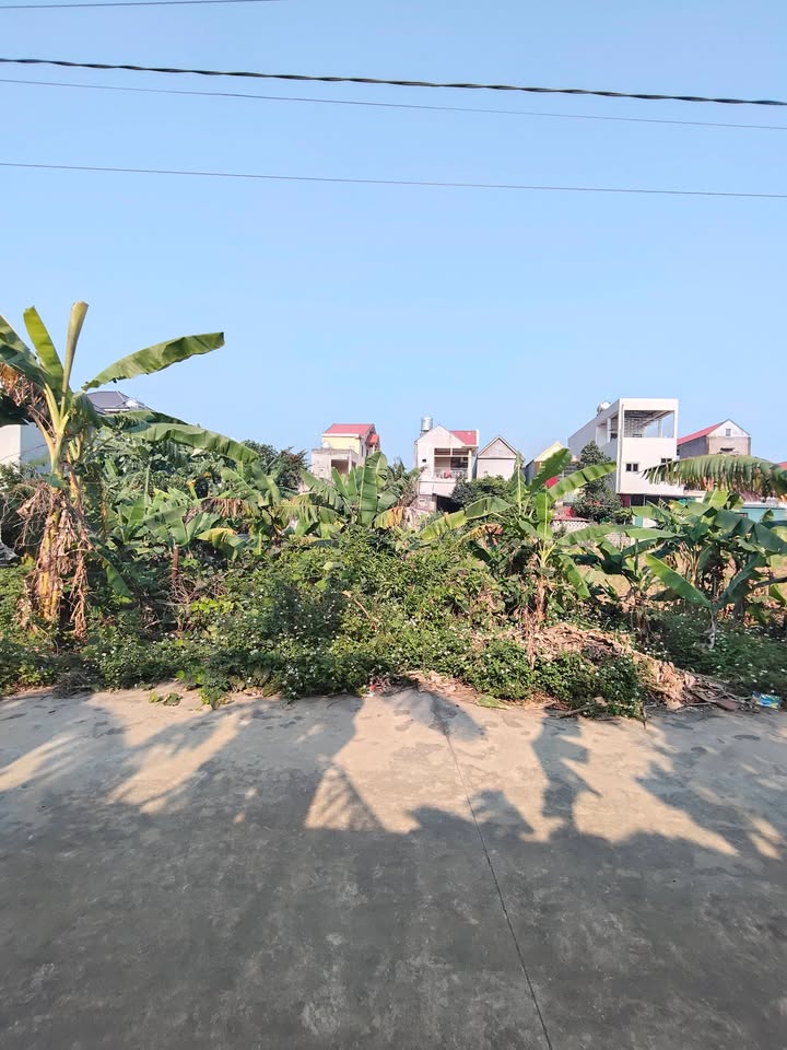 Bán đất tại Định Tân, Yên Định 176m² - Gần trường học và công sở chỉ 300m!