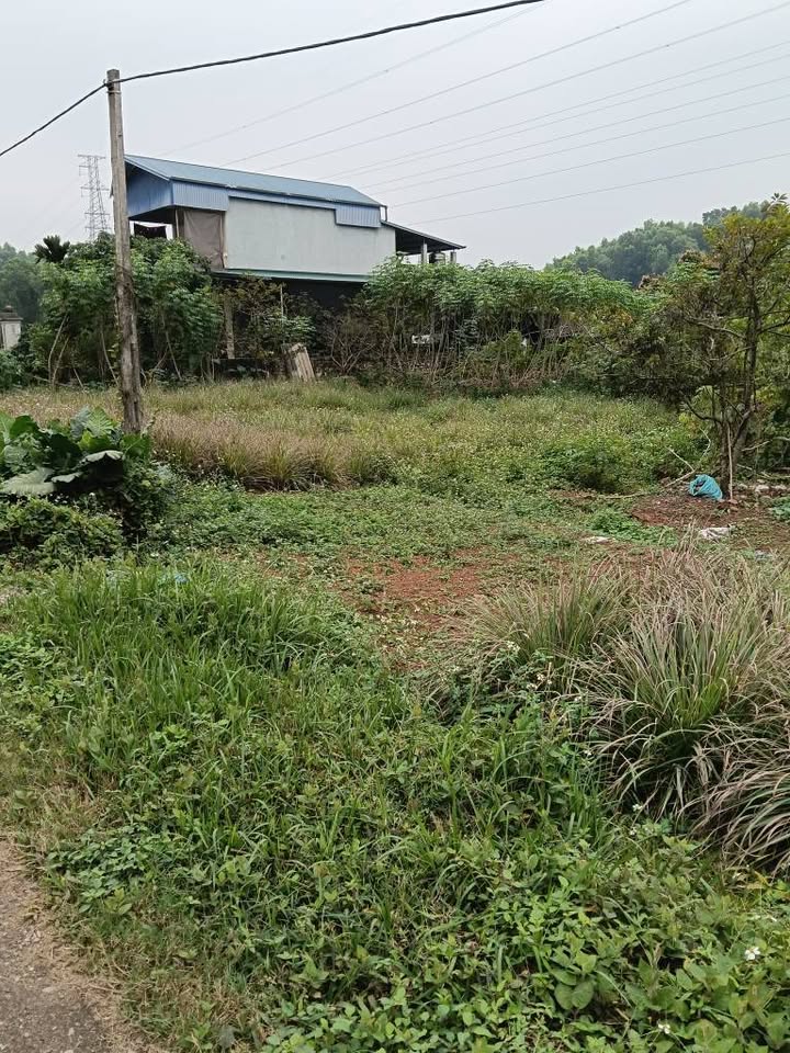 Đất thổ cư Thịnh Đức, Thái Nguyên 714m² giá chỉ 2 tỷ - Cần bán gấp!