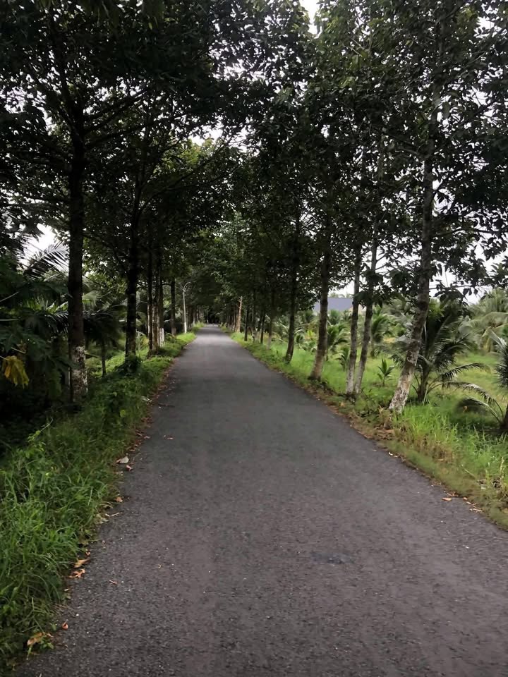 Đất nền mặt tiền đường nhựa tại xã Vang Qưới Tây, 414m² giá 600 triệu - Cơ hội đầu tư tuyệt vời!