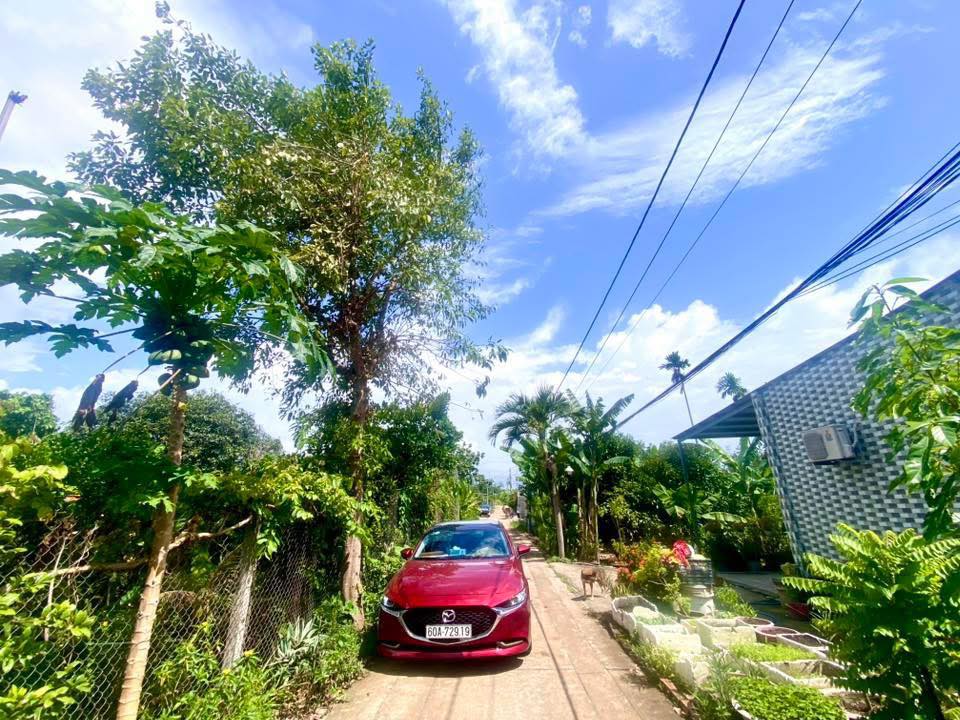 Đất nền Phước An 623m² giá 3 tỷ - Tiềm năng đầu tư lớn!