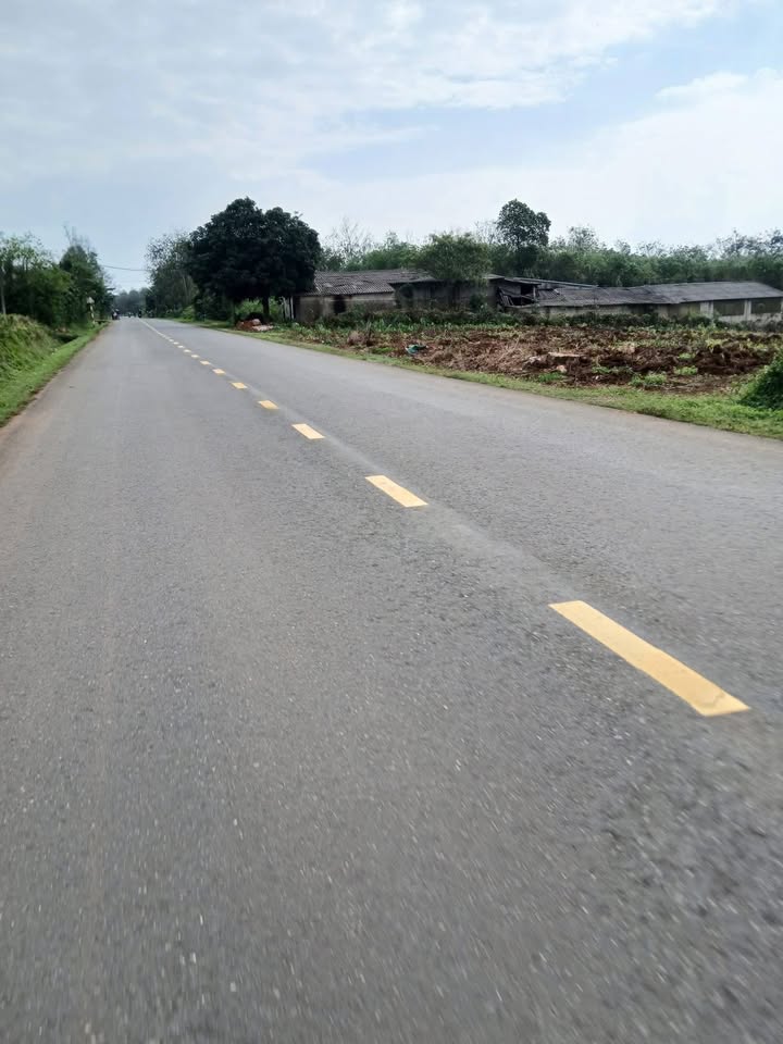 Đất thổ cư 446m² tại Nam Cường, Vĩnh Linh - Sổ đỏ chính chủ, giá tốt!