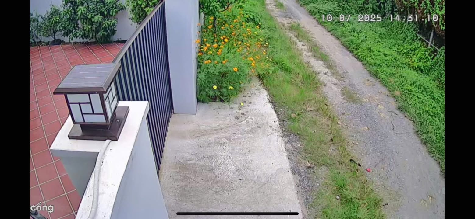 Nhà vườn Củ Chi 720m² giá 4.2 tỷ - Thiết kế hiện đại và tiện nghi!