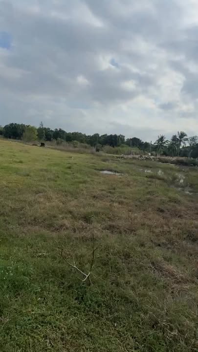 Đất thổ cư 10.000m² phường Bắc Cam Ranh - Đầu tư sinh lời ngay!