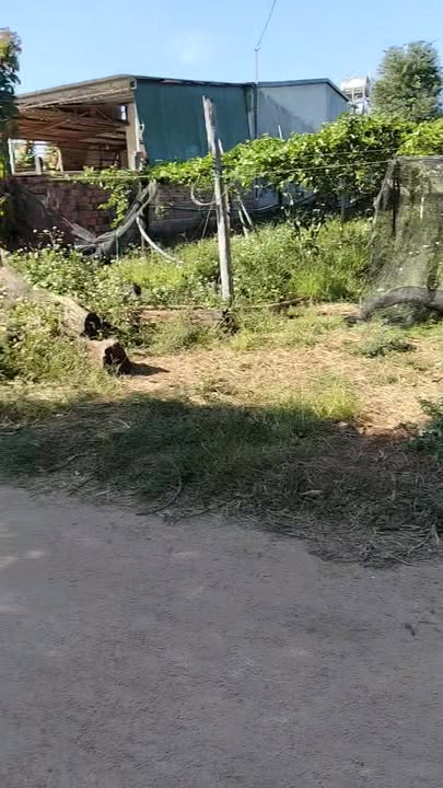 Đất nền Ia Kha, Ia Grai 160m² giá 399 triệu - Sổ hồng chính chủ, đầu tư sinh lời!