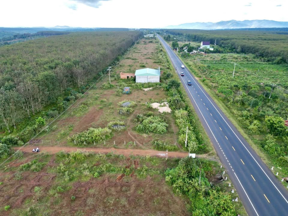 Đất nền mặt tiền tỉnh lộ 664, Ia Grai 2067m² - Đầu tư sinh lời ngay!