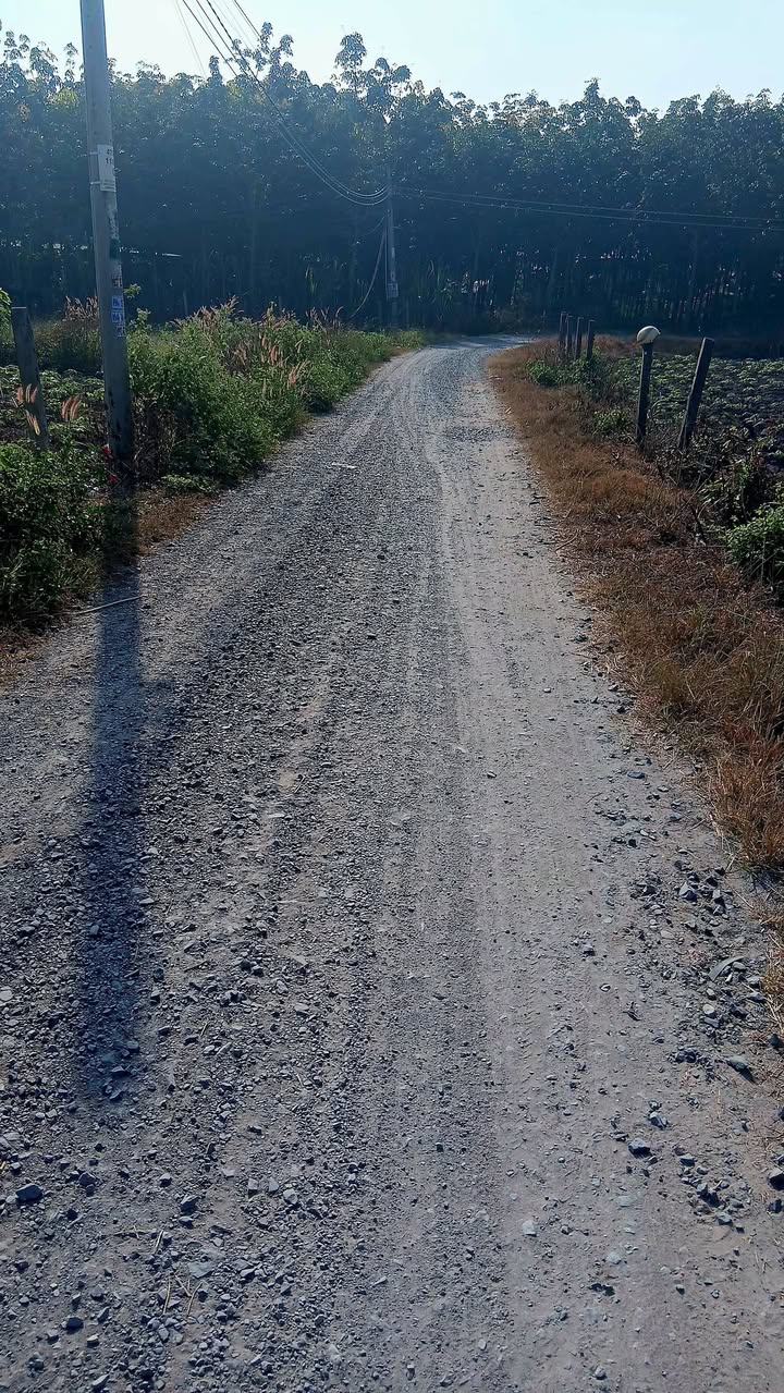 Đất nền Lộc Ninh, Dương Minh Châu 150m² giá chỉ 300 triệu - Đầu tư sinh lời ngay!