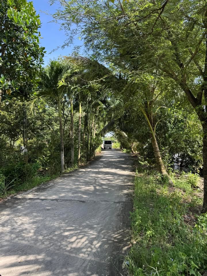 Đất nền mặt tiền kênh KH1, Giục Tượng 2500m² - Đầu tư sinh lời lý tưởng!