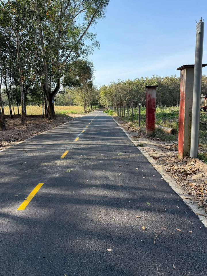 Đất nền Chánh Phú Hòa, Bến Cát 624m² giá 1.65 tỷ - Cơ hội đầu tư sinh lời!