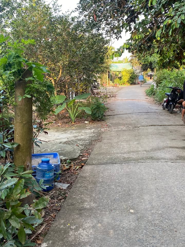 Đất nền mặt tiền Đường ĐAL Ngã Cạy 150m² giá 650 triệu - Cơ hội đầu tư hấp dẫn!