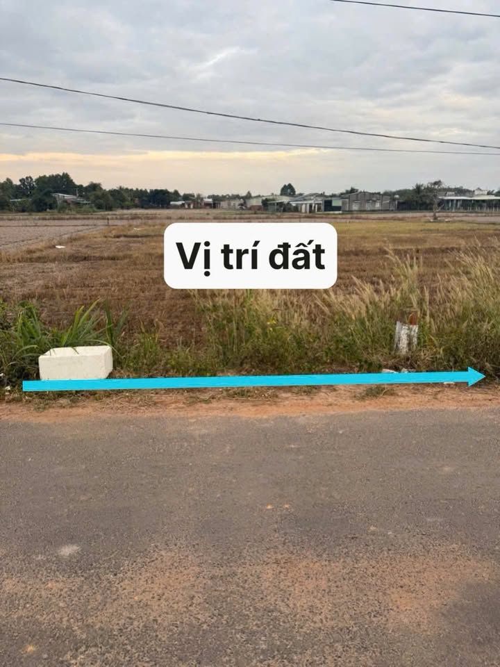 Đất nền Bến Cầu Tây Ninh 250m² giá 300 triệu - Cơ hội đầu tư hấp dẫn!