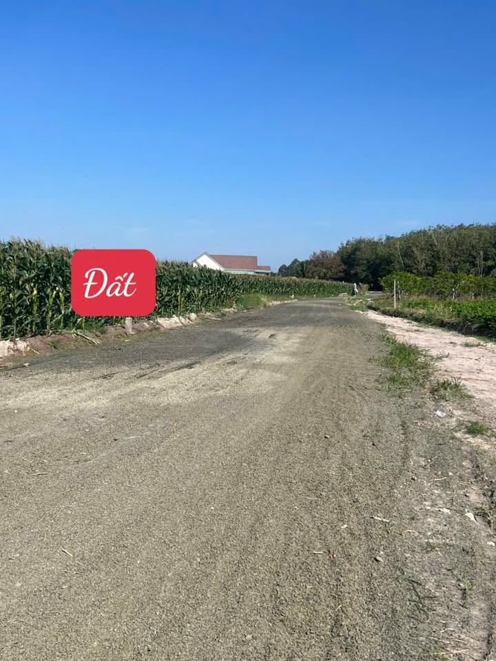 Đất nền Tân Bình Tây Ninh 500m² giá chỉ 200 triệu - View núi tuyệt đẹp!