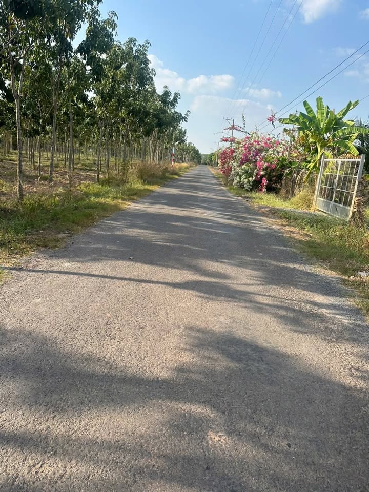 Đất nền ấp Suối Dộp, Thái Bình 780m² giá 550 triệu - Cơ hội đầu tư tuyệt vời!