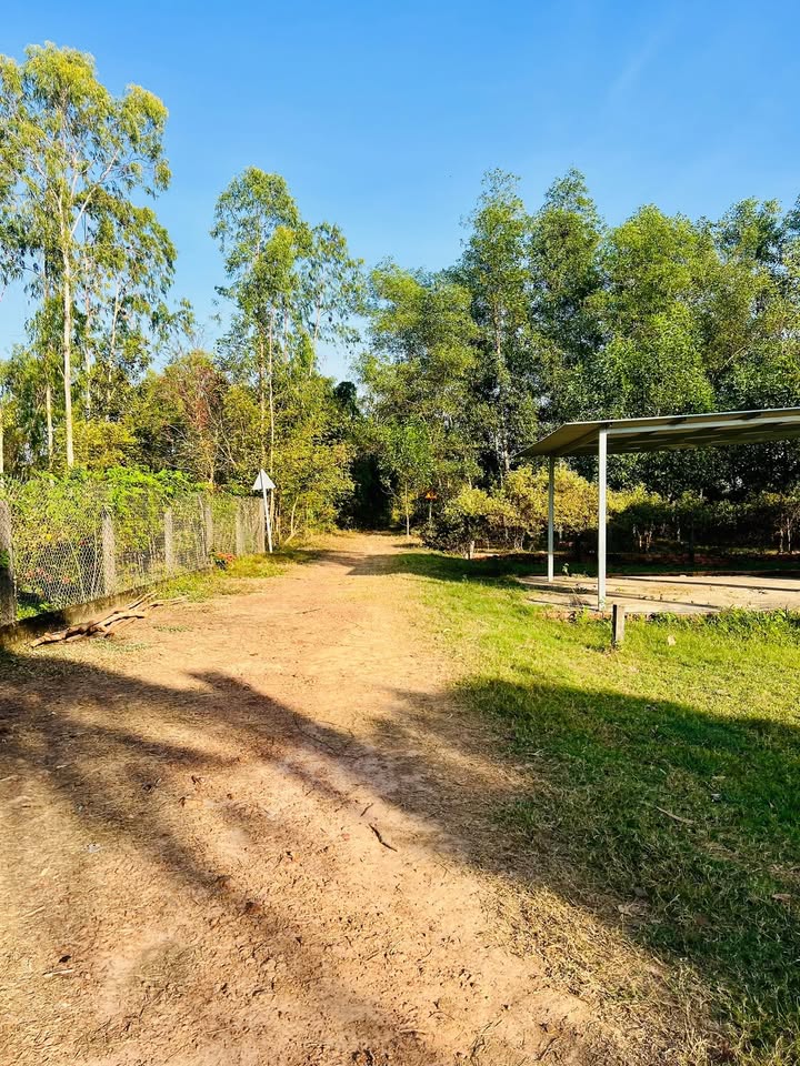 Đất nền 100m² An Bình, Châu Thành, Tây Ninh - Giá chỉ 149 triệu, cơ hội không thể bỏ lỡ!