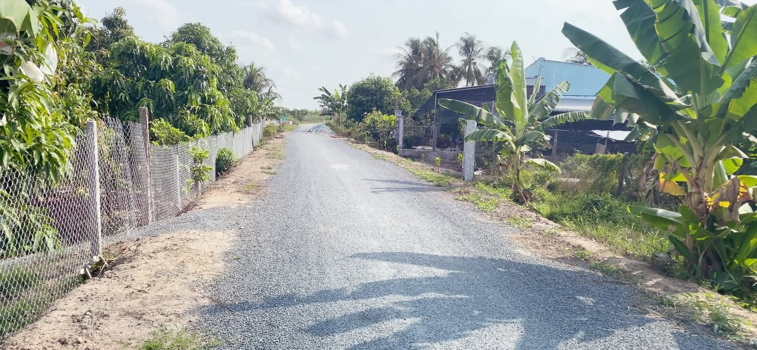 Đất nền Tân Thành Vĩnh Long 137m² giá 300 triệu - Đầu tư sinh lời ngay!