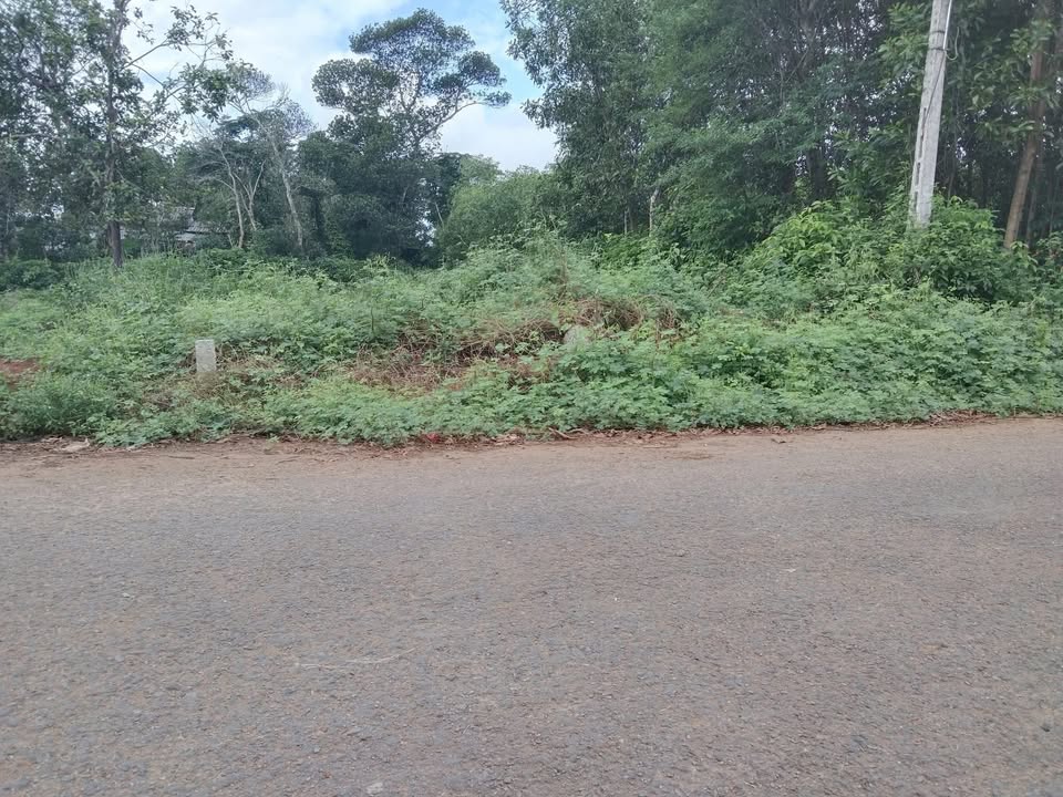 Nhà mặt tiền đường Trần Đình Ân, Gio Linh 120m² giá 700 triệu - Vị trí đắc địa, tiện ích đầy đủ!