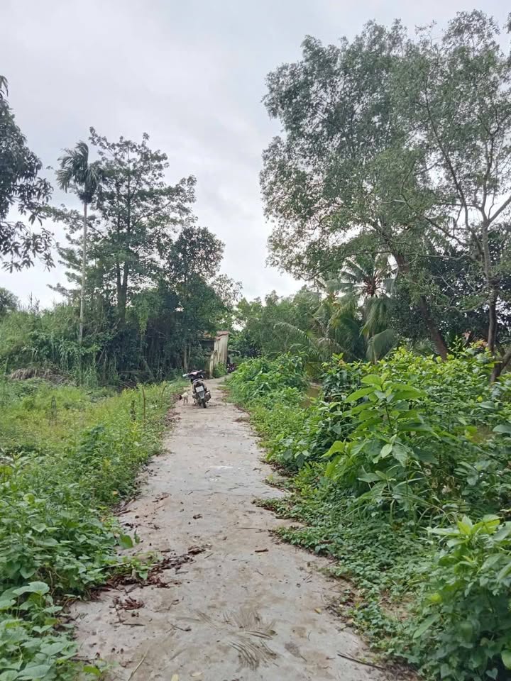 Đất nền Thới An Đông, Cần Thơ 199m² giá 650 triệu - Cơ hội đầu tư tuyệt vời!