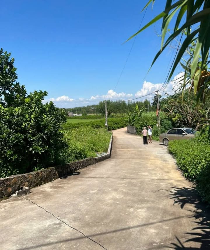 Đất 2 mặt tiền Cương Sơn Lục Nam Bắc Giang 270m² giá 500 triệu - Cơ hội đầu tư tuyệt vời!