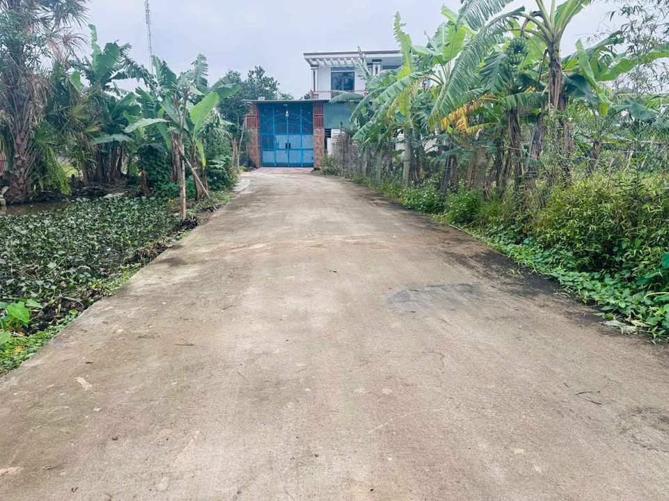 Đất 2 mặt tiền Tân Lâm Hương, Thạch Hà 148m² giá 1.3 tỷ - Cơ hội đầu tư lý tưởng!