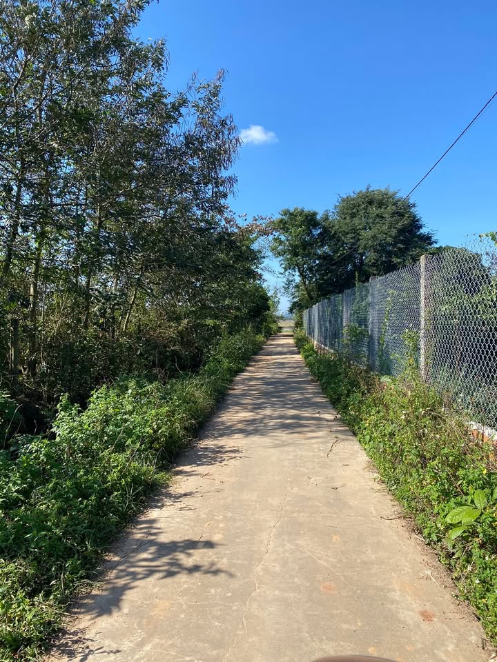 Đất nền Tân Tiến, Krông Pắc 420m² giá 280 triệu - Thế đất cao, thoáng đãng!