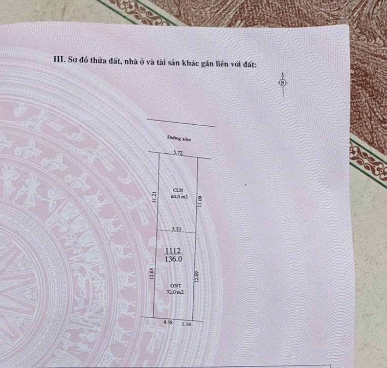 Đất nền TDP Tân Giáp, phường Chũ, Bắc Ninh 136m² giá 600 triệu - Cơ hội đầu tư hấp dẫn!