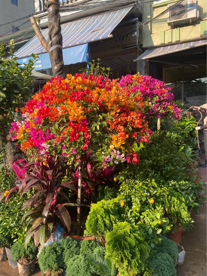 Bán nhà mặt đường Lạch Tray 70m² - Vị trí đắc địa cho kinh doanh!