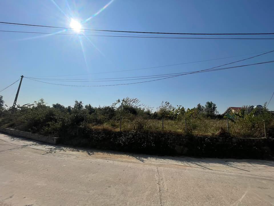 Đất nền thôn Chùa Tiền An 65m² - Cơ hội đầu tư hấp dẫn!