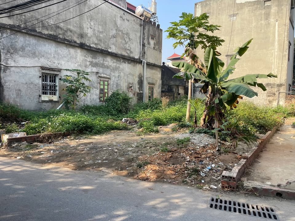 Bán đất Từ Sơn Bắc Ninh 110m² - Sổ đỏ chính chủ - Tiềm năng cao