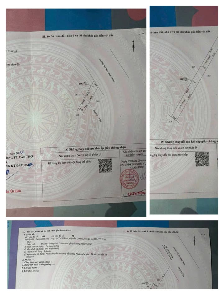 Đất nền mặt tiền đường Hà Huy Giáp, Cần Thơ 60m² giá 1.65 tỷ - Tiềm năng kinh doanh lớn!