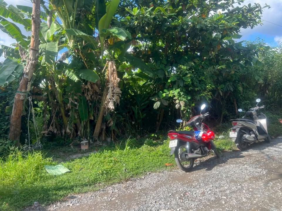 Đất nền hẻm Massage Quỳnh Giao, Võ Văn Kiệt 95m² giá 1.75 tỷ - Đầu tư sinh lời ngay!