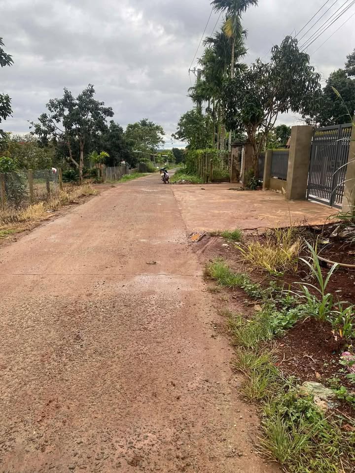 Đất nền Ea Tóh 280m² giá 510 triệu - Cần bán gấp chính chủ!