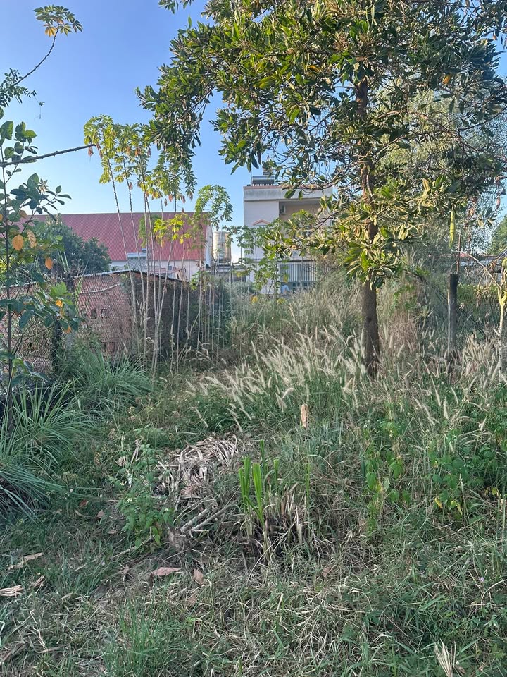 Đất nền Hẻm 159 đường Hùng Vương - 80m² chỉ 1.15 tỷ - Đầu tư sinh lời ngay!