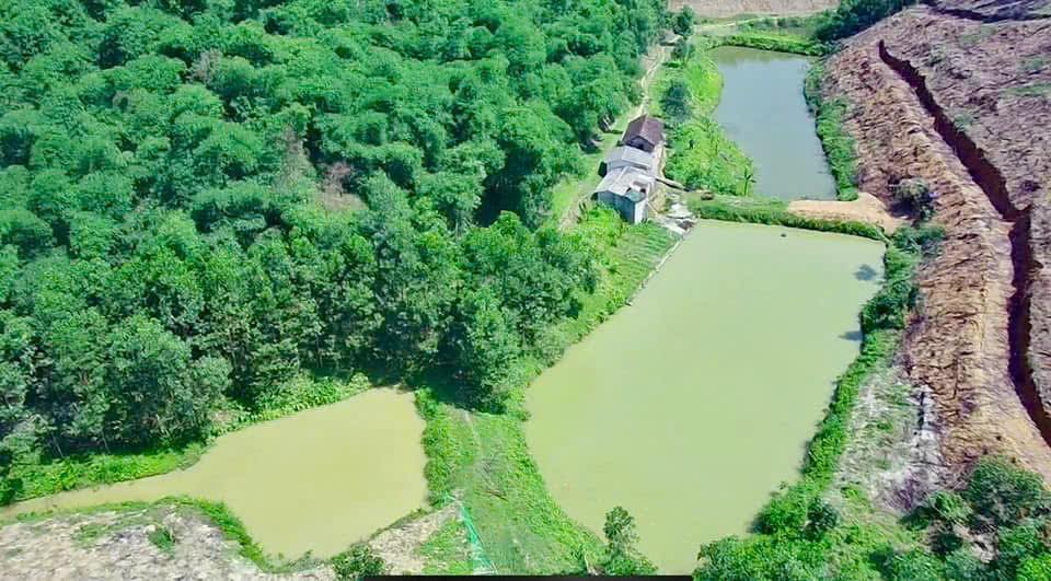 Lô đất siêu rộng 8.000m² tại xã Phượng Nghi, Như Thanh chỉ 700 triệu - Tiềm năng khai thác cao!