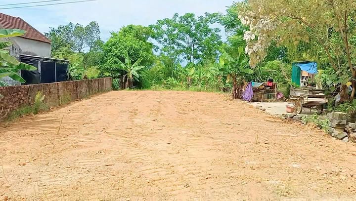 Đất nền Gia Hanh, Can Lộc 220m² - Tiềm năng sinh lời vượt trội!