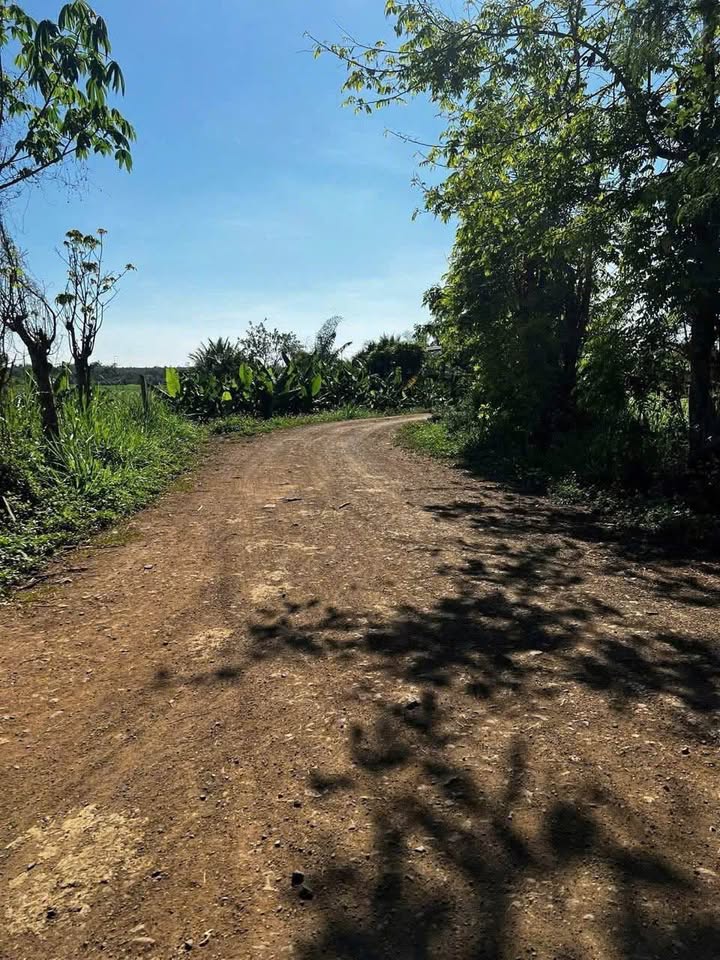 Đất nền chính chủ tại Phường Cư Bao 12.000m² giá chỉ 2.5 tỷ - Đầu tư sinh lời ngay!