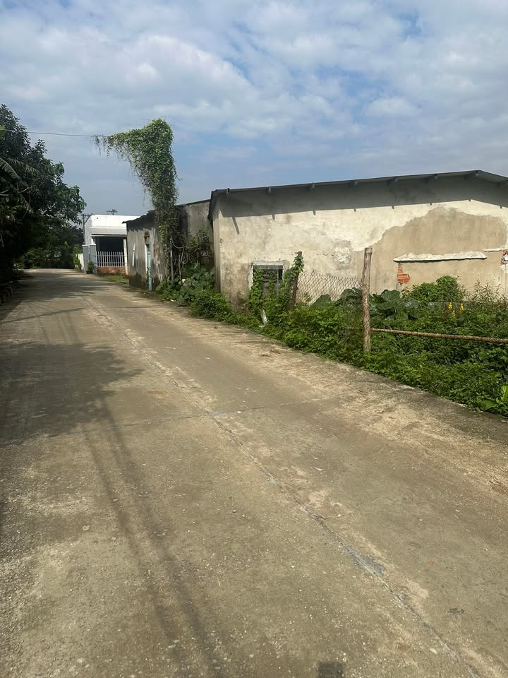 Đất Hòa Thuận Tam Kỳ 380m² giá 1.1 tỷ - Đầu tư lý tưởng cho nhà vườn hoặc kho xưởng!