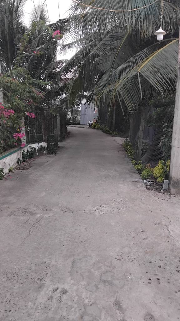 Đất nền Đạo Thạnh, Cao Lãnh 124m² giá 700 triệu - Cơ hội đầu tư hấp dẫn!